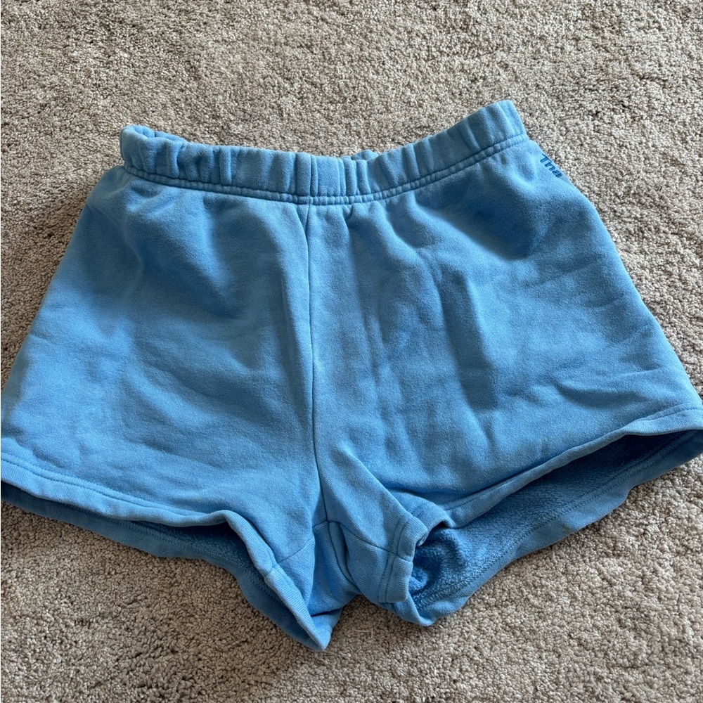 Aritzia shorts